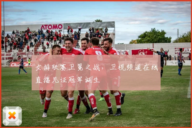 女排联赛卫冕之战，卫视频道在线直播见证冠军诞生