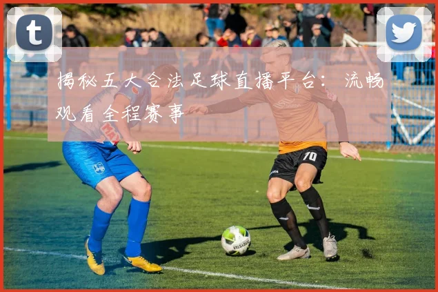 揭秘五大合法足球直播平台：流畅观看全程赛事