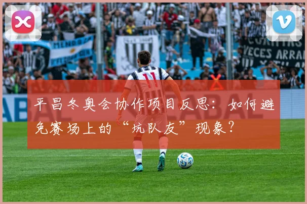 平昌冬奥会协作项目反思：如何避免赛场上的“坑队友”现象？