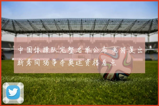 中国体操队完整名单公布 老将复出新秀同场争夺奥运资格看点