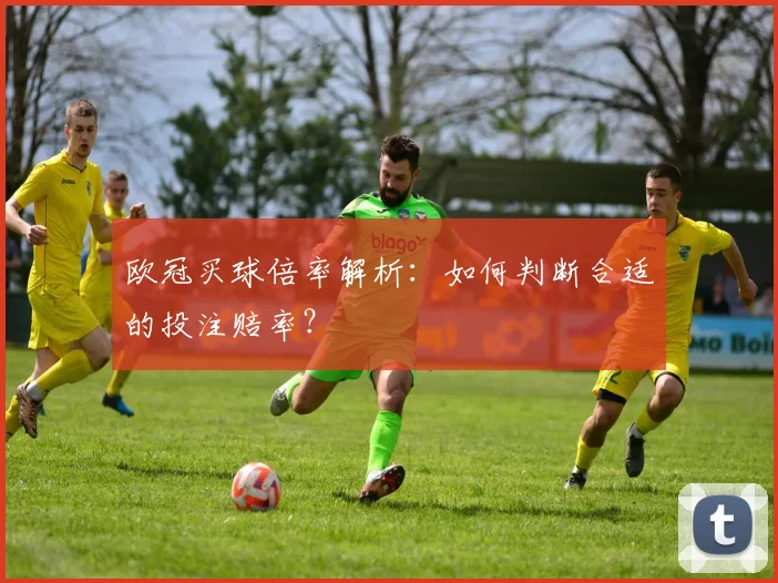 欧冠买球倍率解析：如何判断合适的投注赔率？