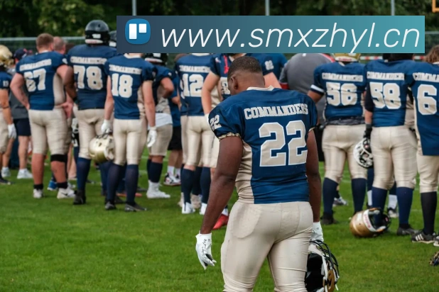 九游电子娱乐入口平台生态图